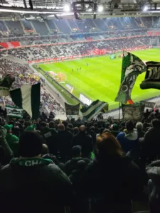 Section 220 Les verts en nord - Lille - ASSE - Février 2025 (2)